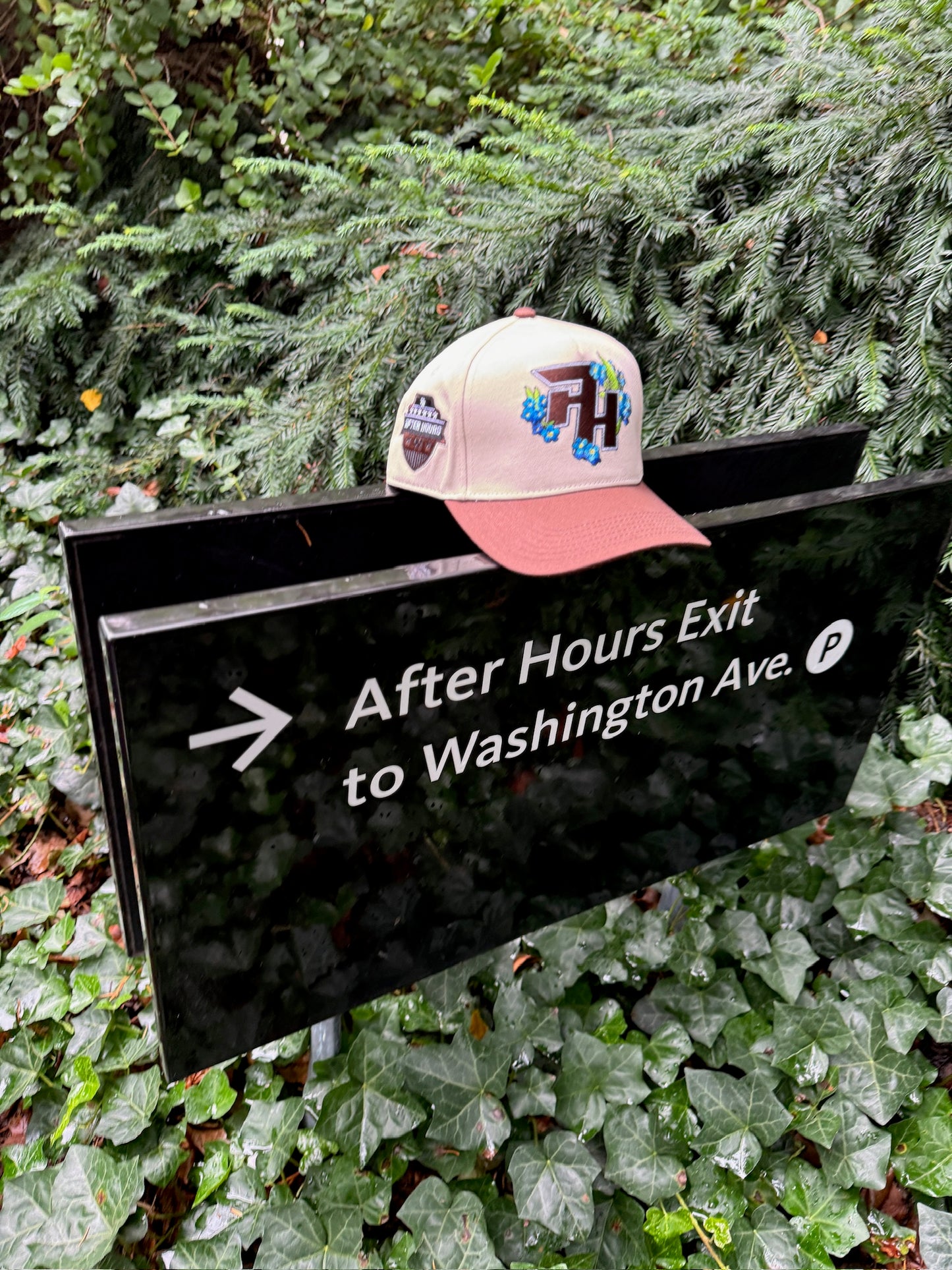 After Hours Beige and Brown Snapback